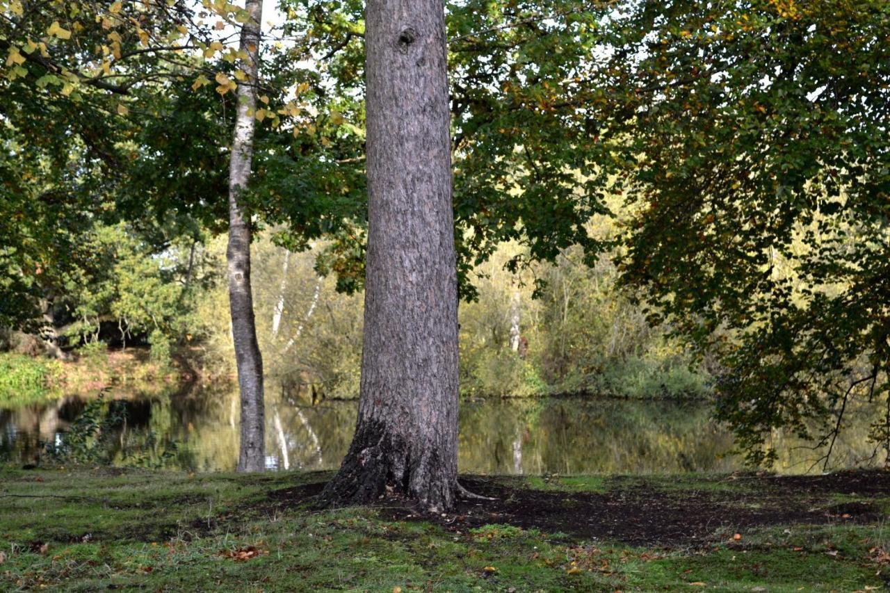 Lakewood Retreat Woodhall Spa Luaran gambar